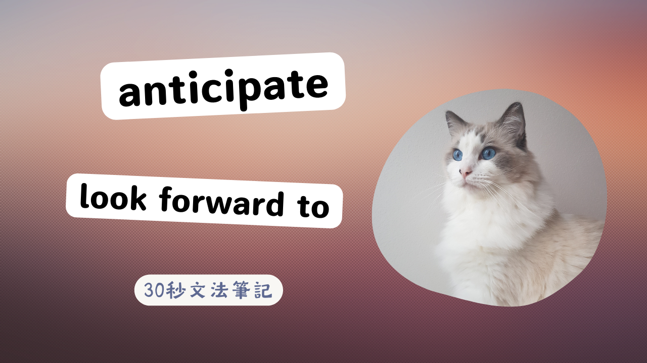 anticipate_look_forward_to 文法不同用法